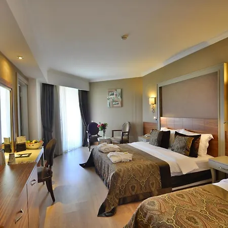 Well Palace Hotell Side