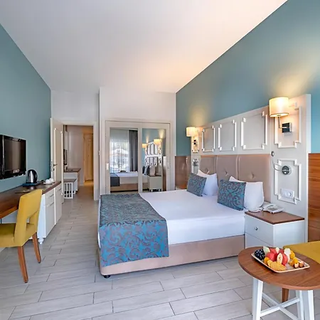 فندق Well Palace 5*