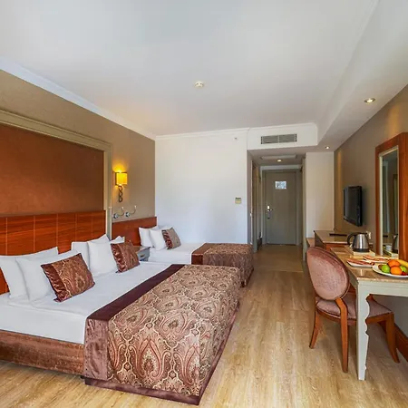 Well Palace מלון 5*